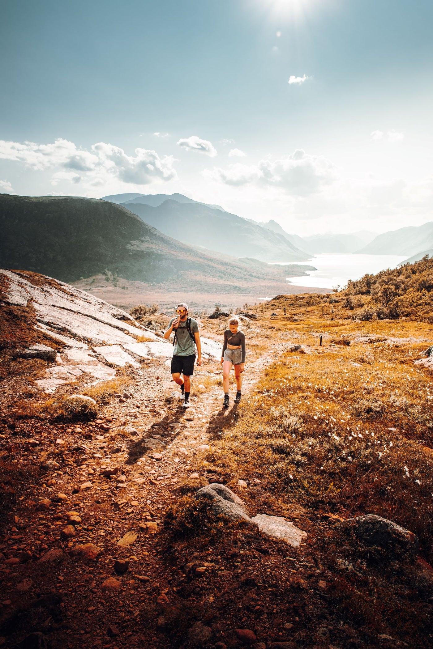 Rack Nutrition - Moving the needle on performance and resilience. – rack